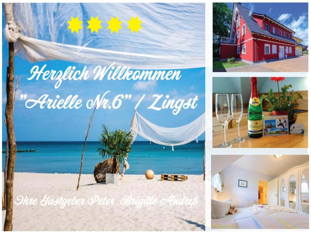 Arielle Nr 6 - Fuer Die Schoenste Zeit Des Jahres - Zingst Exterior foto